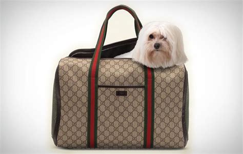 porta sacchetti cane gucci|Borse Firmate .